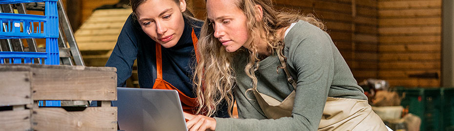 Online Banking Firmenkunden Raiffeisenbank Im Allgauer Land Eg